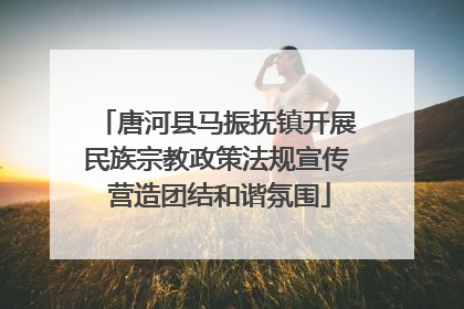 唐河县马振抚镇开展民族宗教政策法规宣传 营造团结和谐氛围