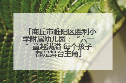 商丘市睢阳区胜利小学附属幼儿园：“六一”童趣满溢 每个孩子都是舞台主角