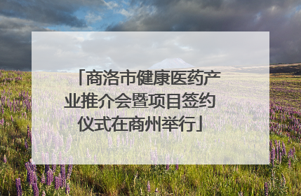 商洛市健康医药产业推介会暨项目签约仪式在商州举行