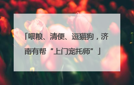 喂粮、清便、逗猫狗，济南有帮“上门宠托师”