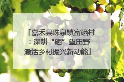 嘉禾县珠泉镇富硒村：深耕“硒”望田野 激活乡村振兴新动能