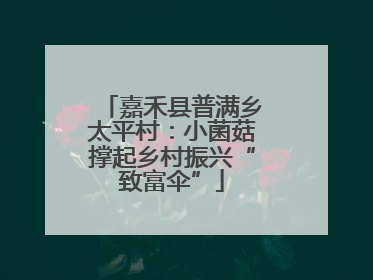 嘉禾县普满乡太平村：小菌菇撑起乡村振兴“致富伞”