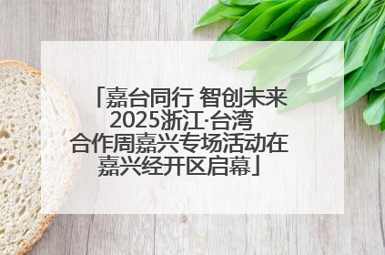 嘉台同行 智创未来 2025浙江·台湾合作周嘉兴专场活动在嘉兴经开区启幕
