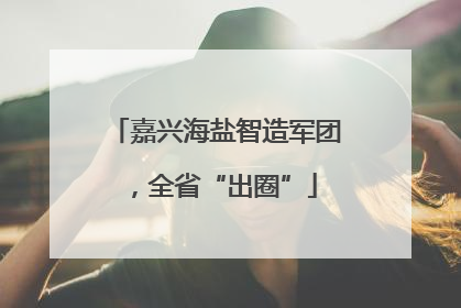 嘉兴海盐智造军团，全省“出圈”