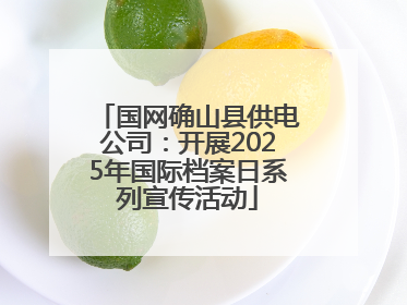 国网确山县供电公司：开展2025年国际档案日系列宣传活动