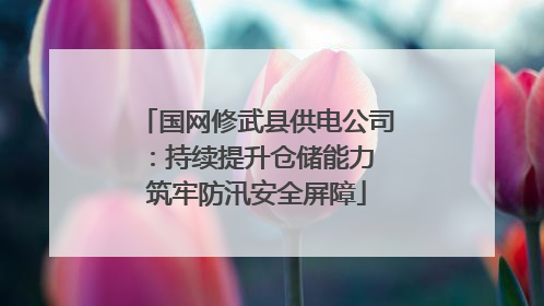 国网修武县供电公司：持续提升仓储能力 筑牢防汛安全屏障