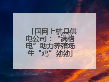国网上杭县供电公司：“满格电”助力养殖场生“鸡”勃勃