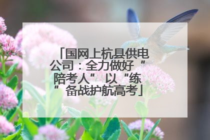 国网上杭县供电公司：全力做好“陪考人” 以“练”备战护航高考