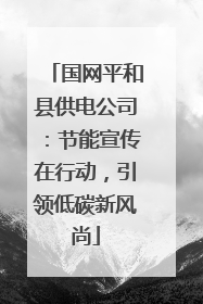 国网平和县供电公司：节能宣传在行动，引领低碳新风尚