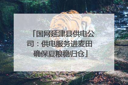 国网延津县供电公司：供电服务进麦田 确保夏粮稳归仓