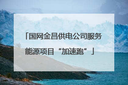 国网金昌供电公司服务能源项目“加速跑”