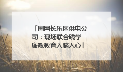 国网长乐区供电公司：现场联合践学 廉政教育入脑入心