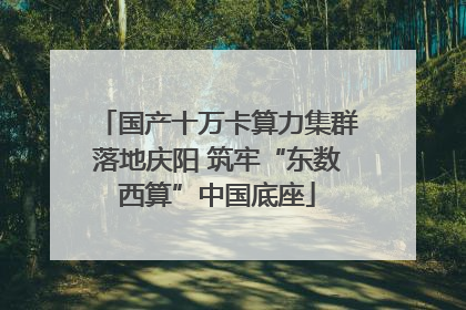 国产十万卡算力集群落地庆阳 筑牢“东数西算”中国底座