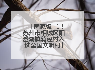 国家级+1！苏州市相城区阳澄湖镇消泾村入选全国文明村