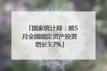 国家统计局：前5月全国固定资产投资增长3.7%