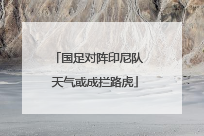 国足对阵印尼队 天气或成拦路虎