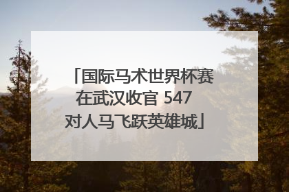 国际马术世界杯赛在武汉收官 547对人马飞跃英雄城