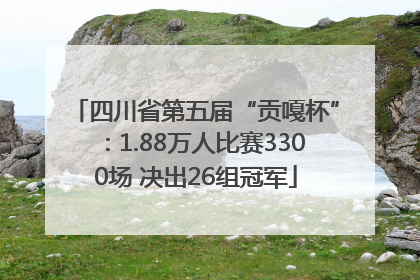 四川省第五届“贡嘎杯”：1.88万人比赛3300场 决出26组冠军