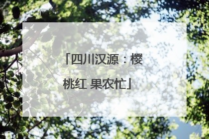 四川汉源：樱桃红 果农忙