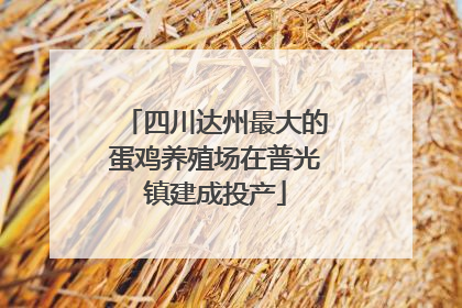 四川达州最大的蛋鸡养殖场在普光镇建成投产