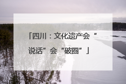 四川：文化遗产会“说话”会“破圈”