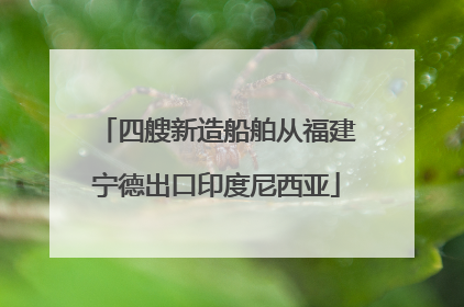 四艘新造船舶从福建宁德出口印度尼西亚