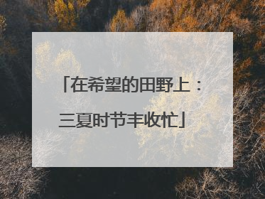 在希望的田野上：三夏时节丰收忙