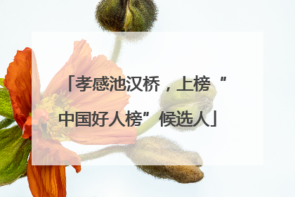 孝感池汉桥，上榜“中国好人榜”候选人