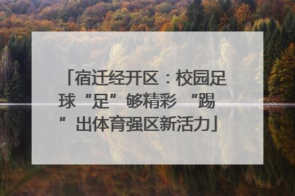 宿迁经开区：校园足球“足”够精彩 “踢”出体育强区新活力