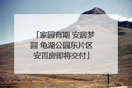 家园有期 安居梦圆 龟湖公园东片区安置房即将交付