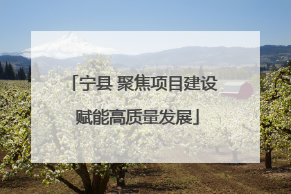 宁县 聚焦项目建设 赋能高质量发展