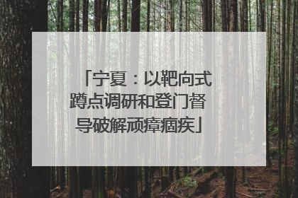 宁夏：以靶向式蹲点调研和登门督导破解顽瘴痼疾