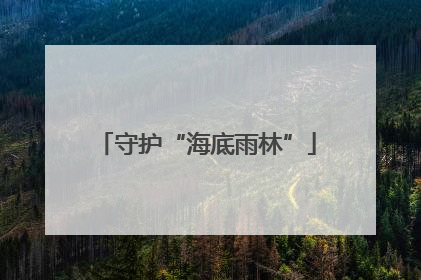 守护“海底雨林”