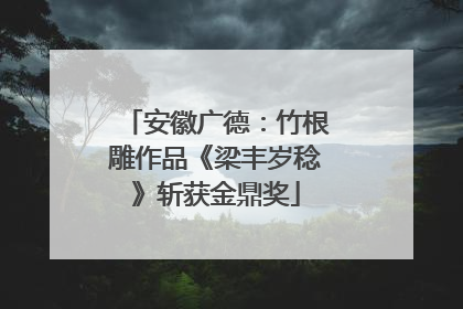安徽广德：竹根雕作品《梁丰岁稔》斩获金鼎奖
