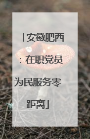 安徽肥西：在职党员为民服务零距离