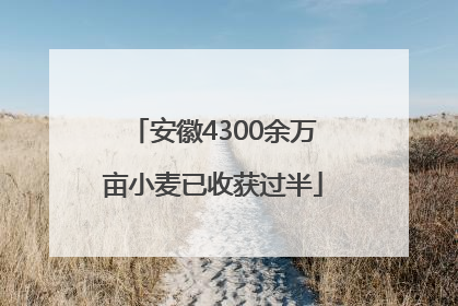 安徽4300余万亩小麦已收获过半