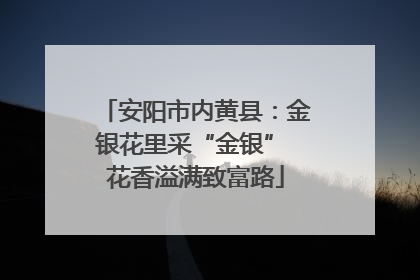 安阳市内黄县：金银花里采“金银” 花香溢满致富路