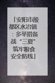 安阳市殷都区水冶镇：多举措备战“三夏” 筑牢粮食安全防线