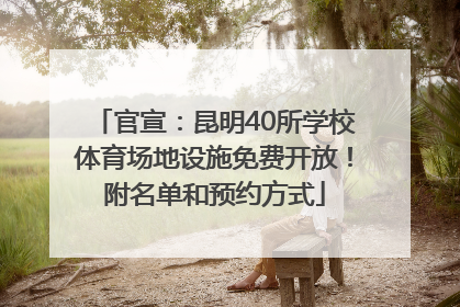 官宣：昆明40所学校体育场地设施免费开放！附名单和预约方式