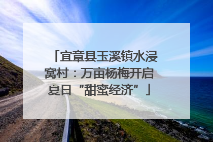 宜章县玉溪镇水浸窝村：万亩杨梅开启夏日“甜蜜经济”