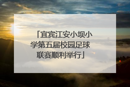 宜宾江安小坝小学第五届校园足球联赛顺利举行