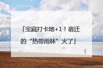 宝藏打卡地+1！宿迁的“热带雨林”火了