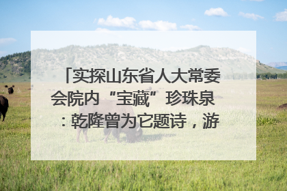 实探山东省人大常委会院内“宝藏”珍珠泉：乾隆曾为它题诗，游客无需预约免费游览