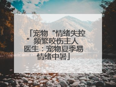 宠物“情绪失控”频繁咬伤主人 医生：宠物夏季易情绪中暑