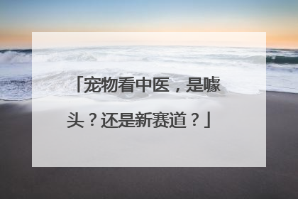 宠物看中医，是噱头？还是新赛道？