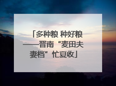 多种粮 种好粮——晋南“麦田夫妻档”忙夏收