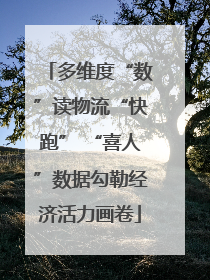 多维度“数”读物流“快跑” “喜人”数据勾勒经济活力画卷