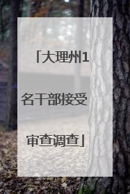 大理州1名干部接受审查调查