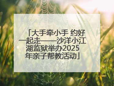 大手牵小手 约好一起走——沙洋小江湖监狱举办2025年亲子帮教活动