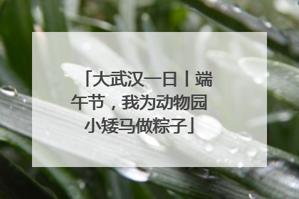 大武汉一日丨端午节，我为动物园小矮马做粽子